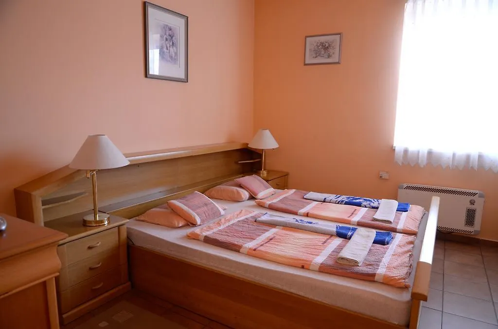 Domino Pension Praag Tsjechië